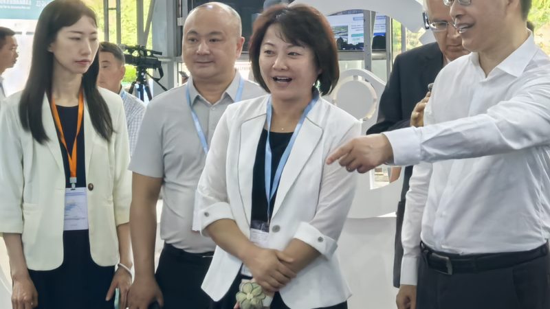 揭秘上海手动变速箱齿轮批发市场的品质与选择